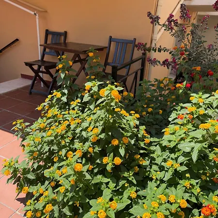 Apartment Summer Bloom Kallithea *